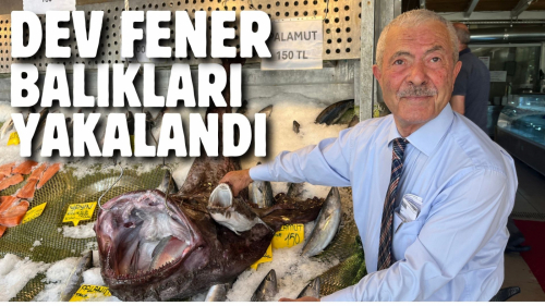 DEV FENER BALIKLARI YAKALANDI